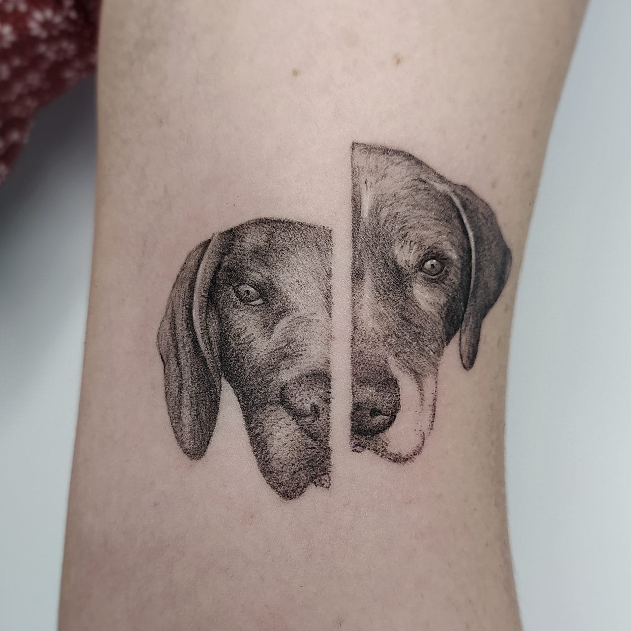 Tatuaje Microrealismo caritas perros