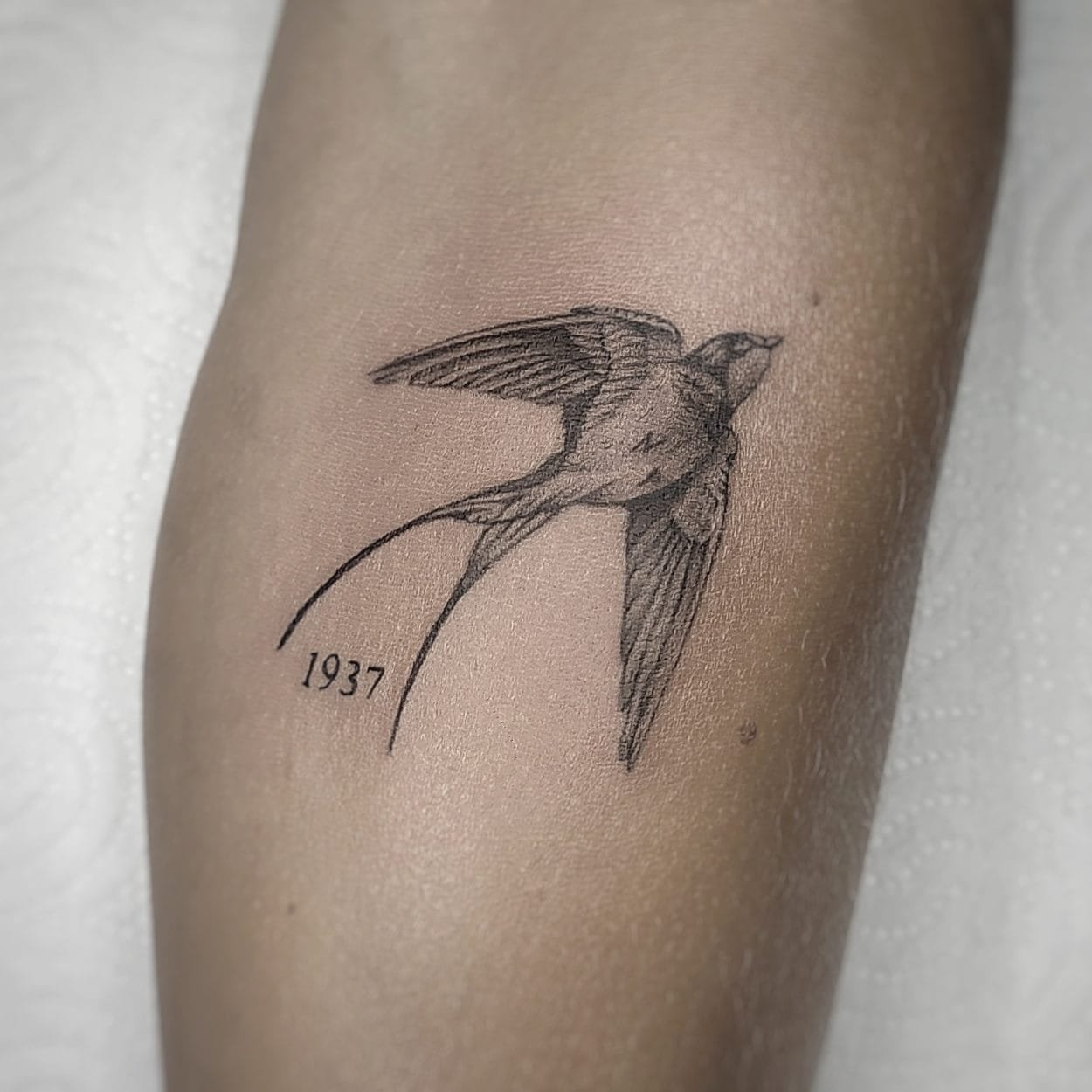 Tatuaje Ventajas AvantPink Microrealismo pajaro volando