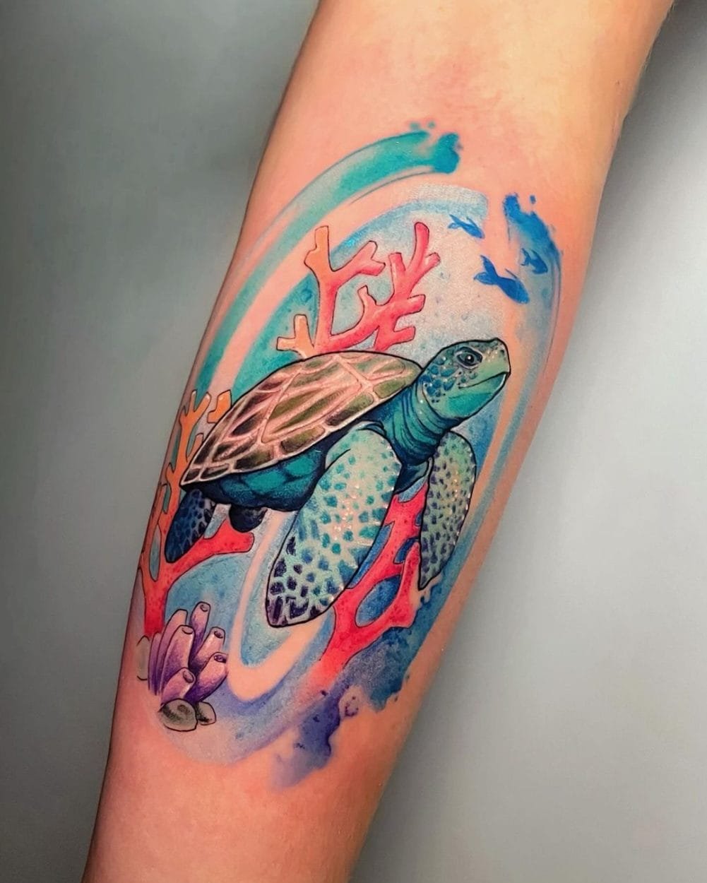 Tatuaje Tortuga Color